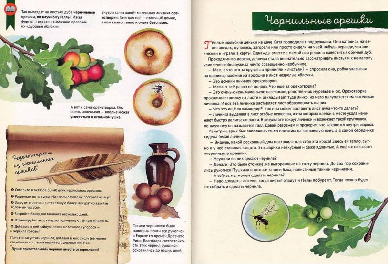 Qu'est-ce qui se passe? Звери и птицы леса