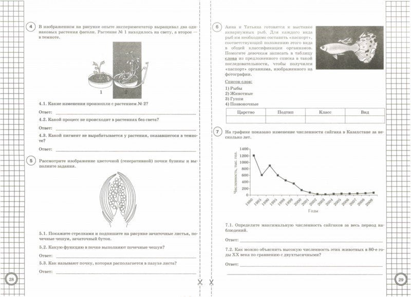 Биология. 6 класс. Всероссийская проверочная работа. Типовые тестовые задания