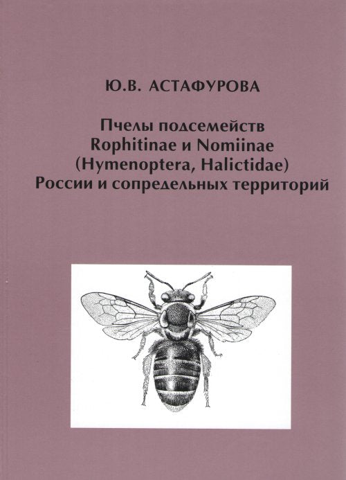 Пчелы подсемейств Rophitinae и Nomiinae (Hymenoptera, Halictidae) России и сопредельных территорий
