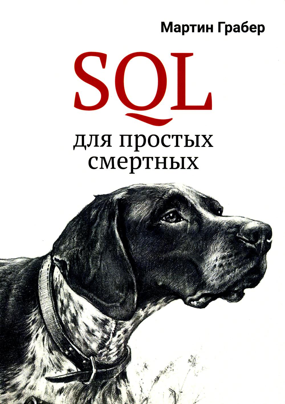 SQL pour les professionnels les plus expérimentés
