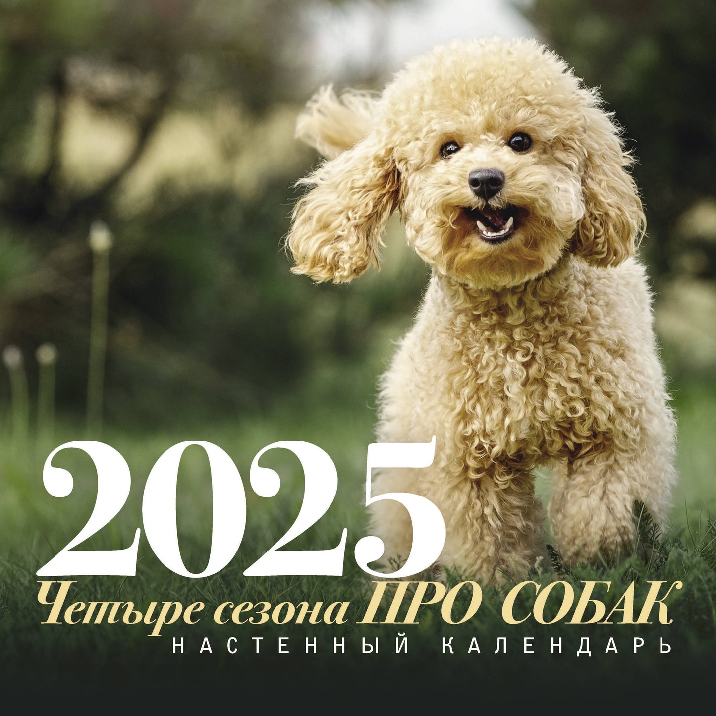 ПРО собак: четыре сезона. Calendrier prévu pour 2025