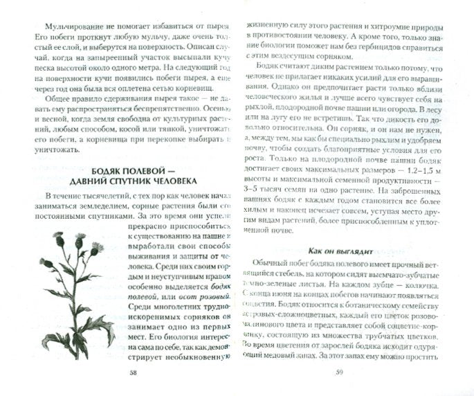 Сорняки на садовом участке. Biologie, lutte, contrôle