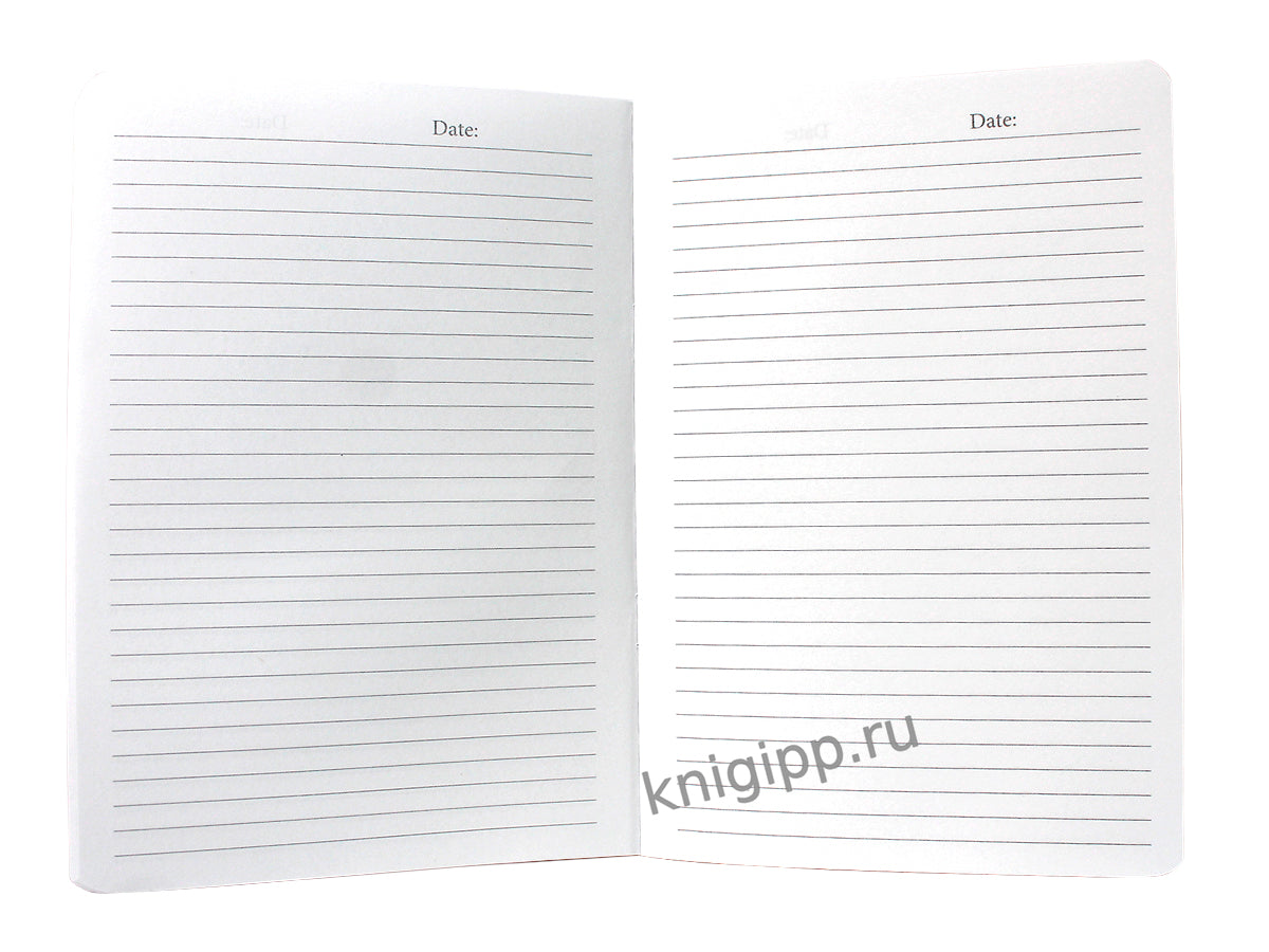 Mon Art. БЛОКНОТ в линию Аниме Carnet. На скейте