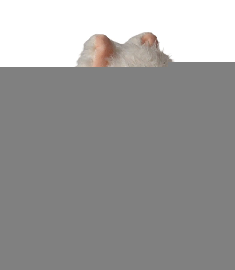 Angelaki. Мягкая игрушка "Щенок с рюкзачком красное яблоко" 22 см. art.kf-1029