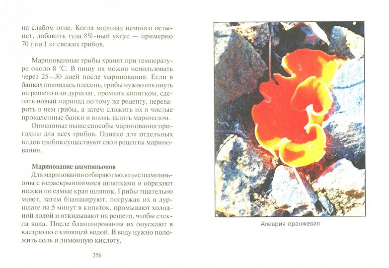 Грибная энциклопедия