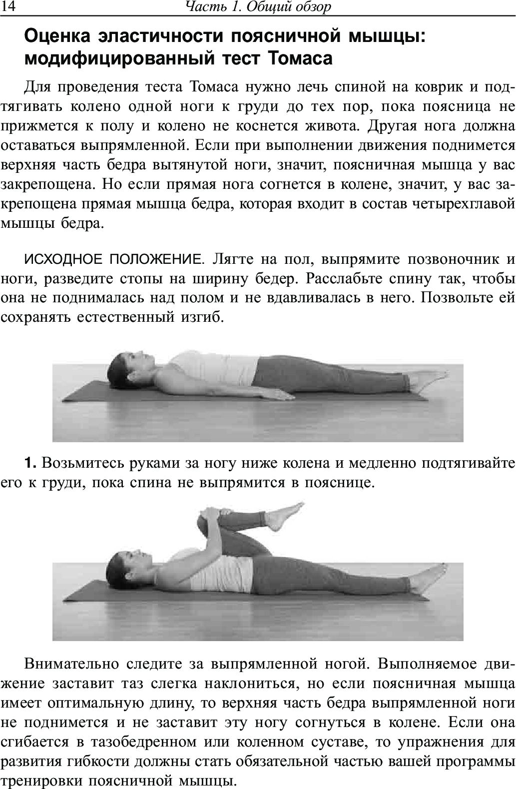 Поясница. Здоровье и гибкость