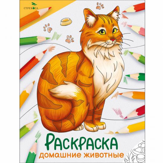 Окружающий мир. Раскраска. Maison de famille