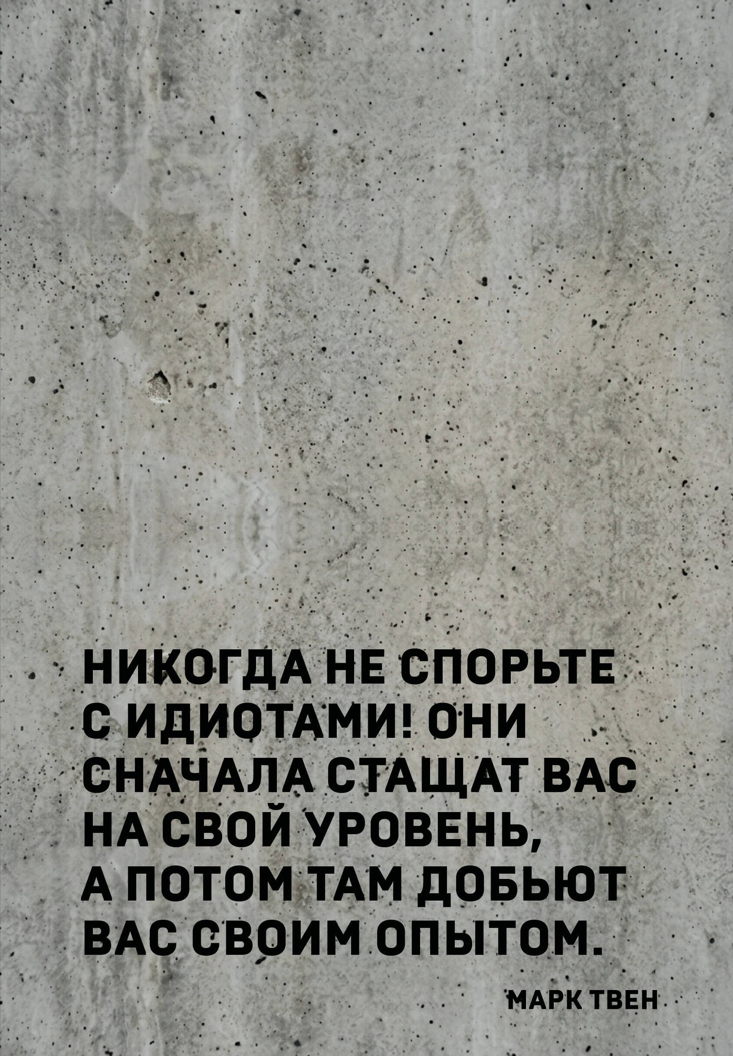 Блокнот. Никогда не спорьте с идиотами! (А5, твердая обложка, 64 л.)