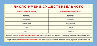 ШМ-13218 Карточка-шпаргалка. Taille du produit (format 61x131 mm)