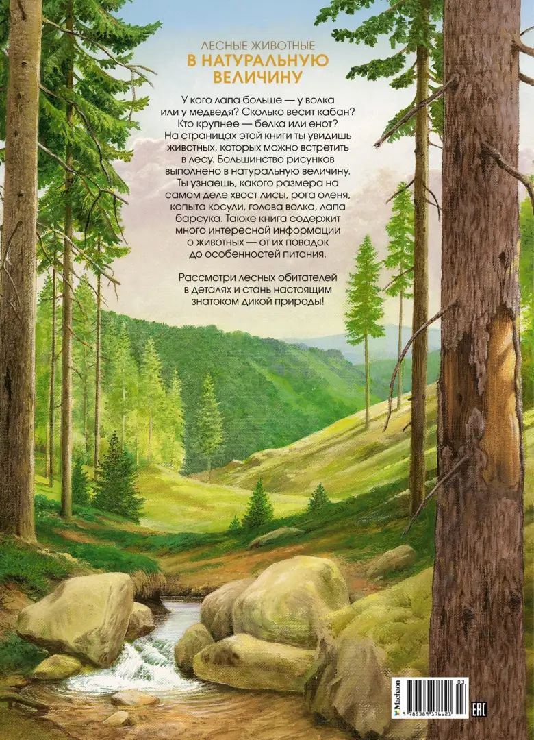 Les lesbiennes en pleine nature