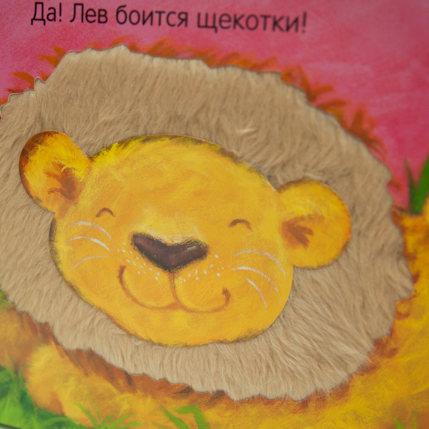 Потрогай и погладь. Nouveau2. Qu'est-ce que les filles?