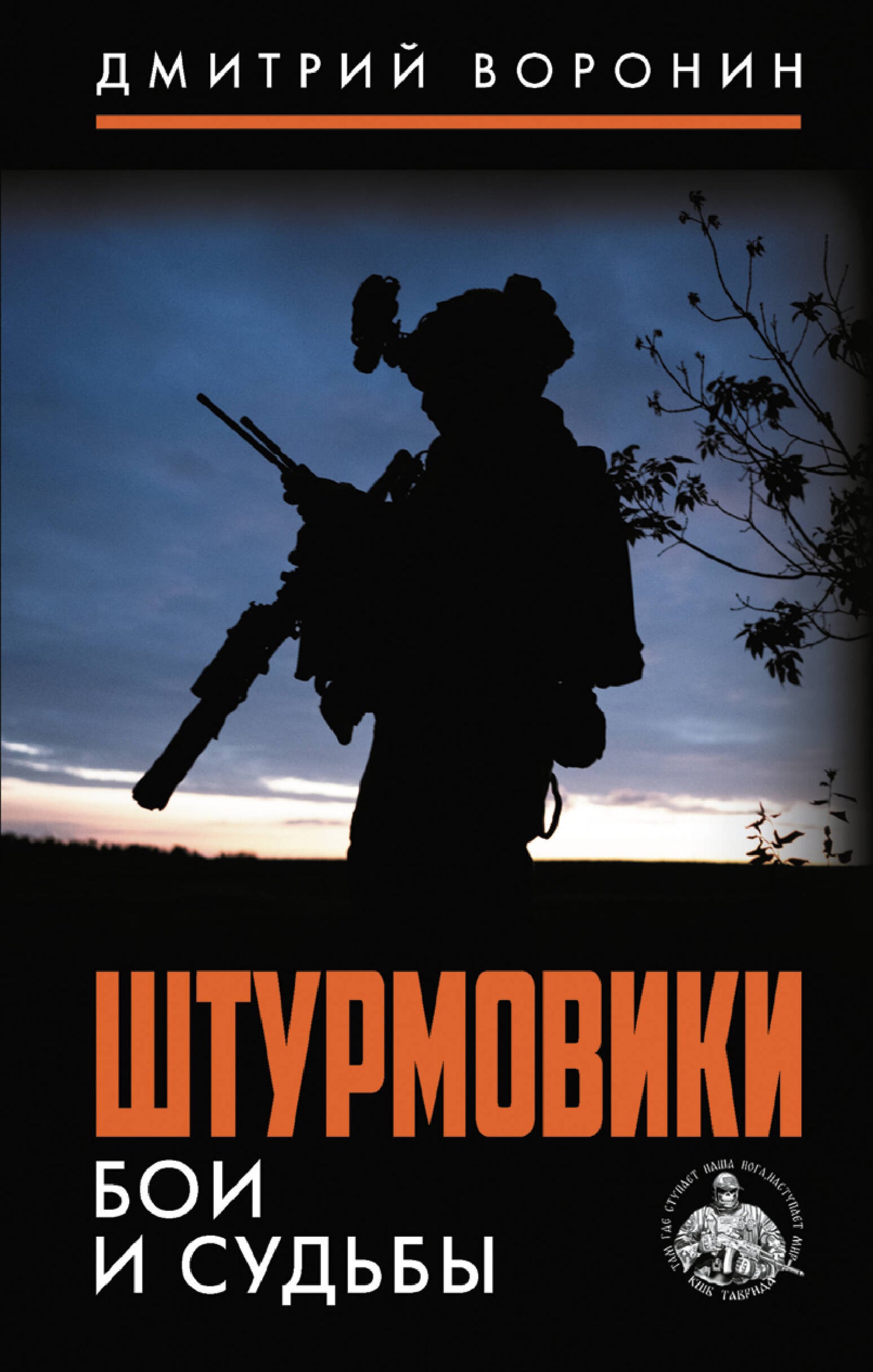 Штурмовики. Бои и судьбы