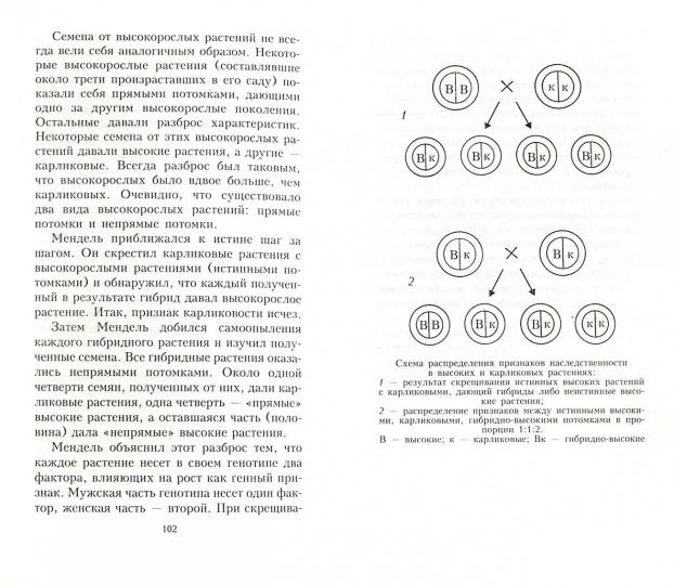 Краткая история биологии. От алхимии до генетики