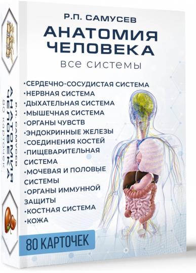 Анатомия человека. 80 cartes. Tous les systèmes