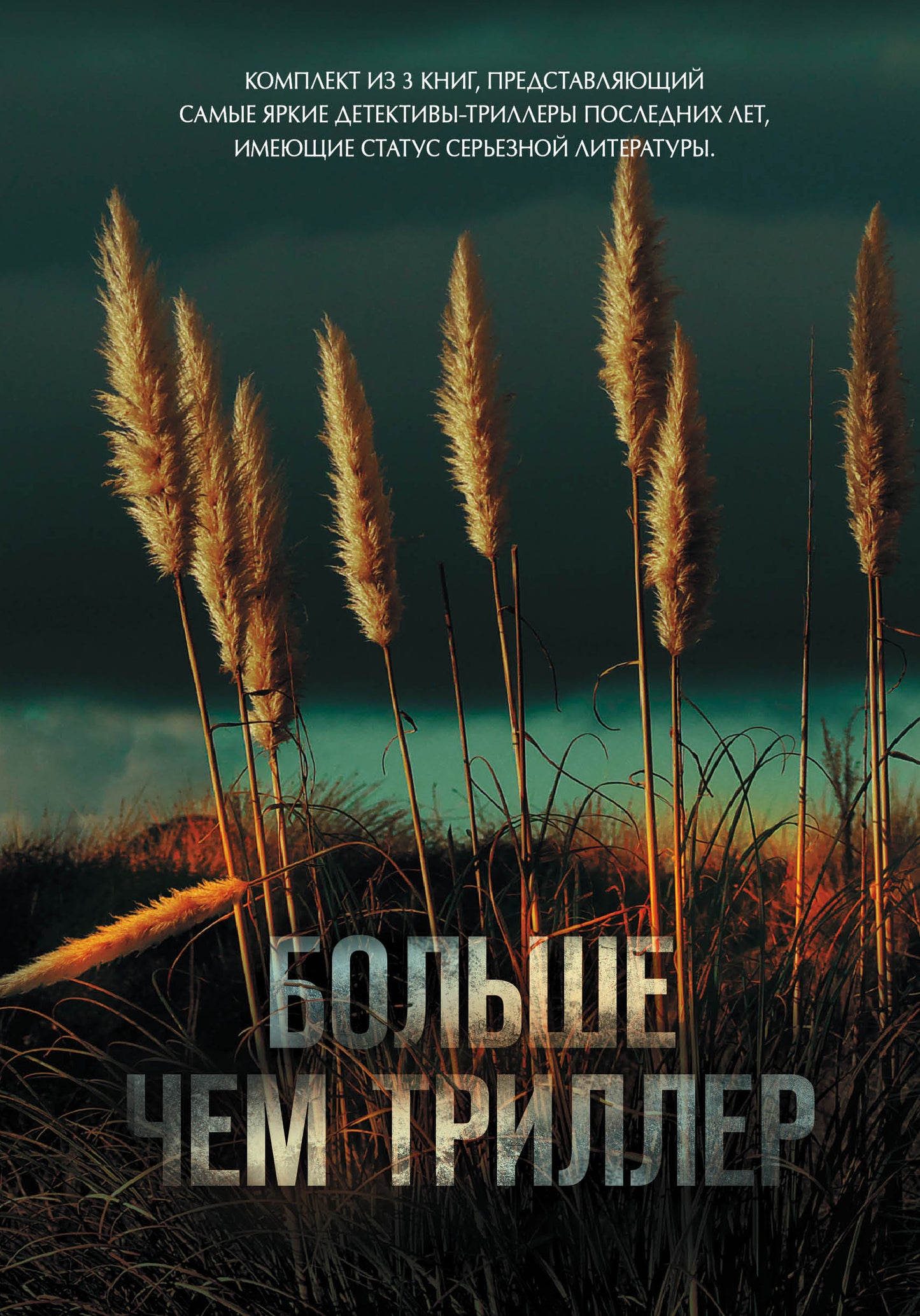 Комплект из 3 книг. Больше чем триллер (Мы начинаем в конце. Первый день весны. Зеркальная страна)