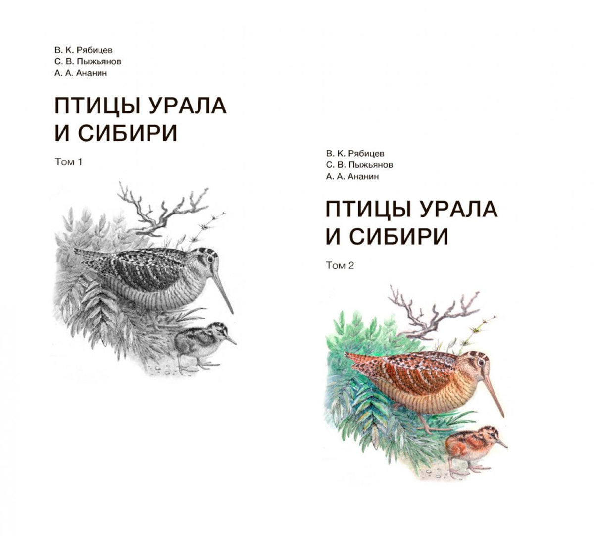 Птицы Урала и Сибири: справочник-определитель. В 2 т.