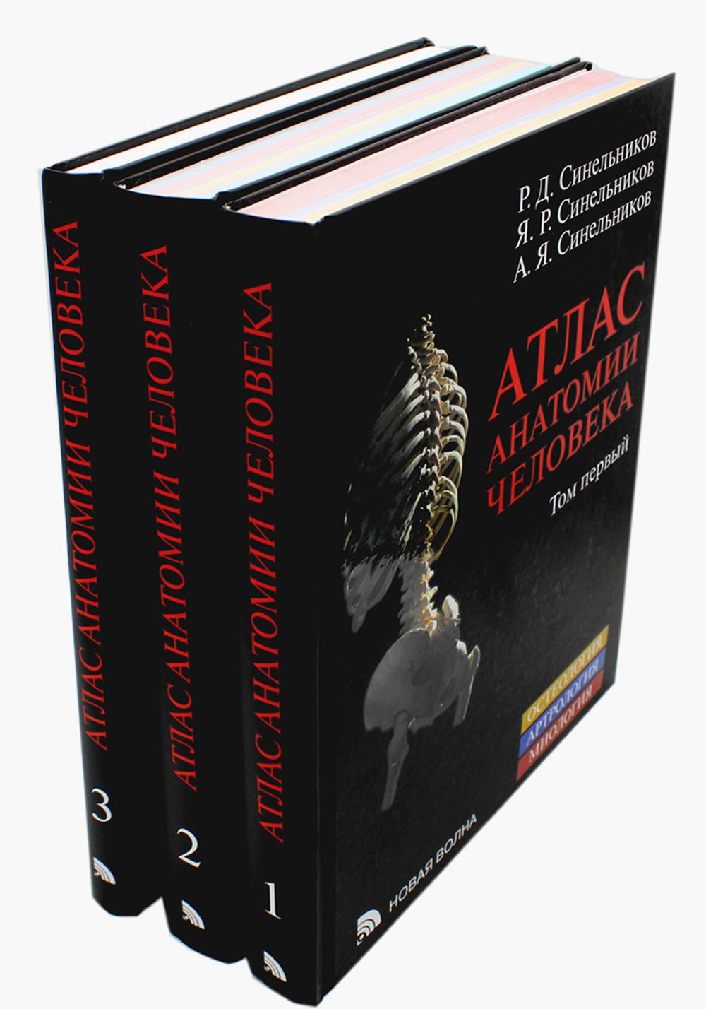 Атлас анатомии человека: В 3 т. Complexe