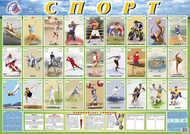 Спорт