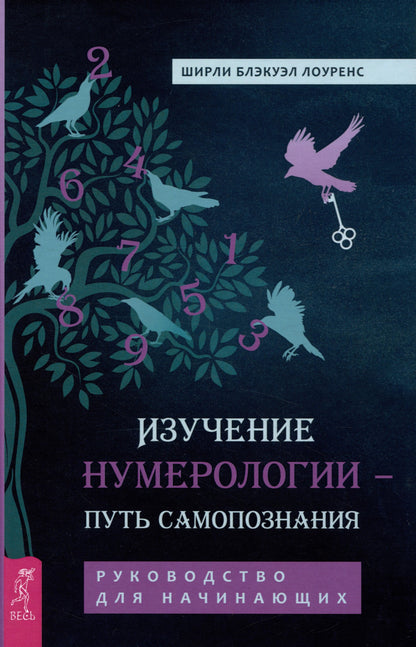 Изучение нумерологии — путь самопознания. Руководство начинающих (3976)