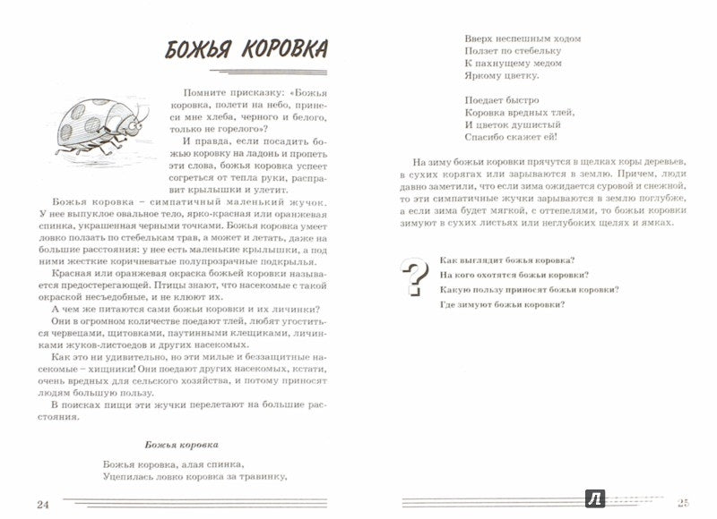 Насекомые. Какие они? [Методика]