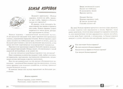 Насекомые. Какие они? [Методика]