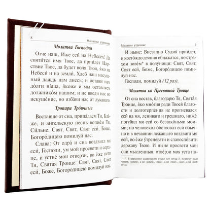 Православный молитвослов и Псалтирь на всякую потребу: крупным шрифтом