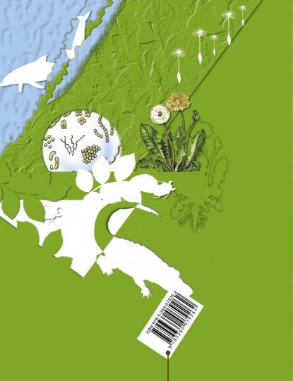 Биология. 5-6 классы. Рабочая тетрадь №2.