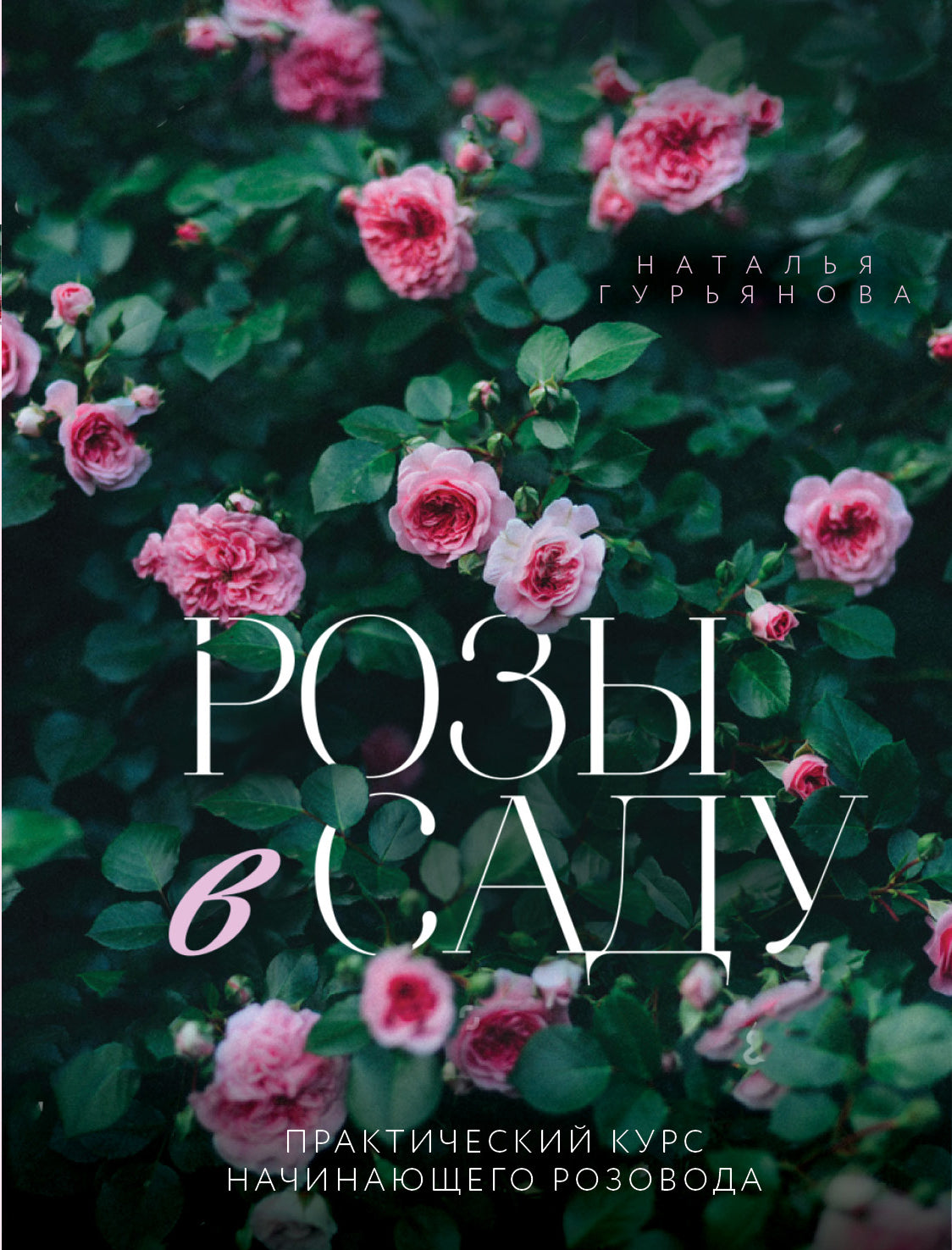 Розы в саду. Cours pratiques pour le rose