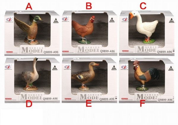 Jeu "Птица" 6 vidéos dans un assortiment. в/к 10*7*7,5 cm art.Y26752012