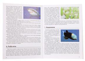 Мемо "Подводный мир" арт.8032 (50 карточек) /48