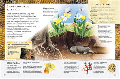 Большая книга 'Почему'