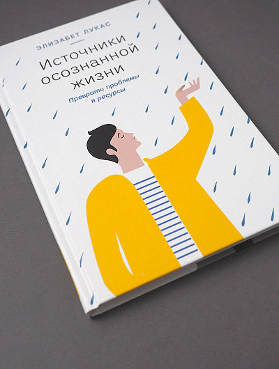 Источники осознанной жизни. Преврати проблемы в ресурсы. 2-е изд
