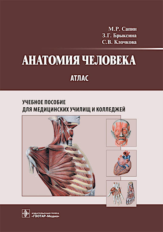 Анатомия человека : атлас : учебное пособие / М. P. Сапин, З. Г. Брыксина, С. В. Clochkova. — Москва : ГЭОТАР-Медиа, 2025. – 376 с. : IL.