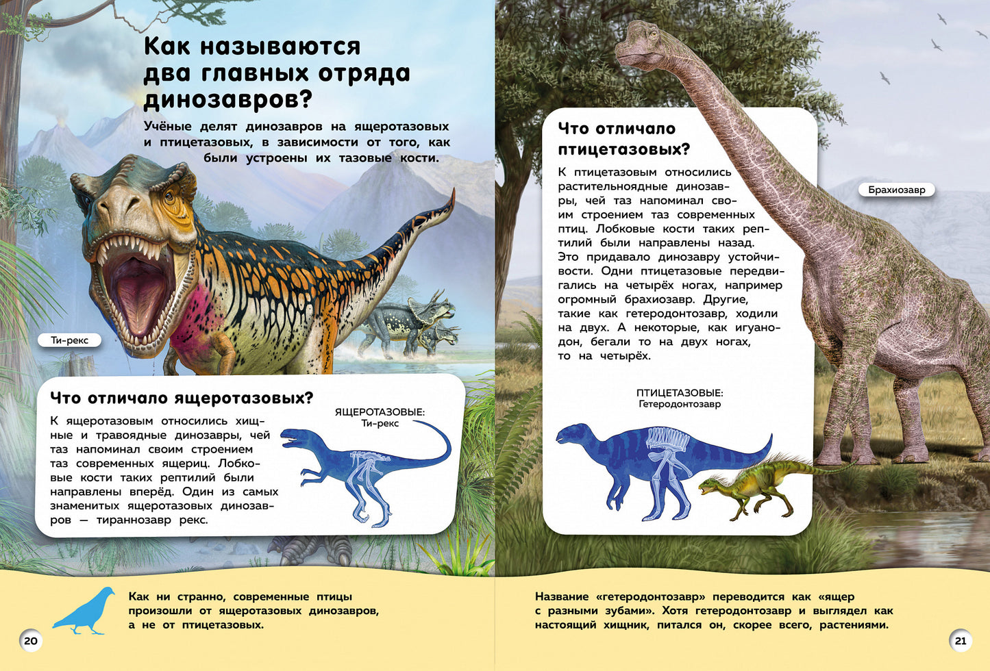 Un grand livre de dinosaures. Вопросы и ответы