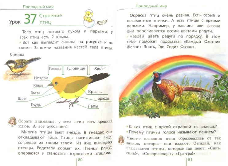 Окружающий мир 1кл [Учебник]в 2-х частях в 1 книге