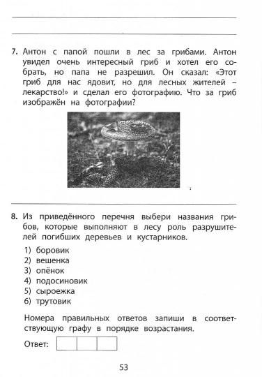 Скворцов. Окружающий мир. 3 classe. Мониторинг успеваемости. Готовимся к ВПР. (ФГОС)