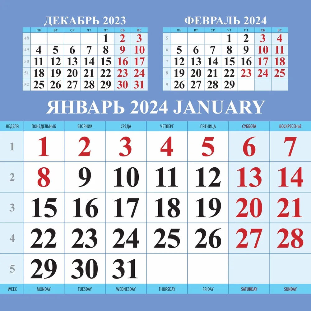 Календарь с котятами на 2024 год. Переплет на скрепке (285*285 мм) 12 листов