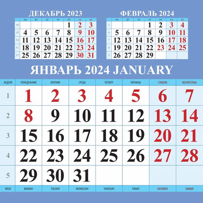 Календарь с котятами на 2024 год. Переплет на скрепке (285*285 мм) 12 листов