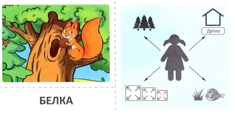 Prenez la carte avec les risques. Récupérez les cartes. Описательные загадки. Дикие животные. Pour un enfant de 4 à 7 ans