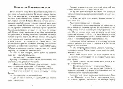 Деревенские следаки. Тайна хромой старухи