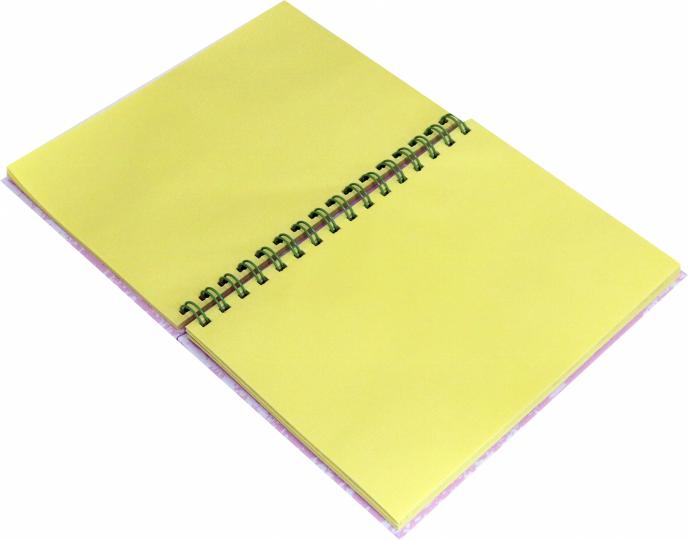 Блокнот "Кактус Кот" высокий / "Catctus", four (А5, 160 стр., пружина, блок желтый)