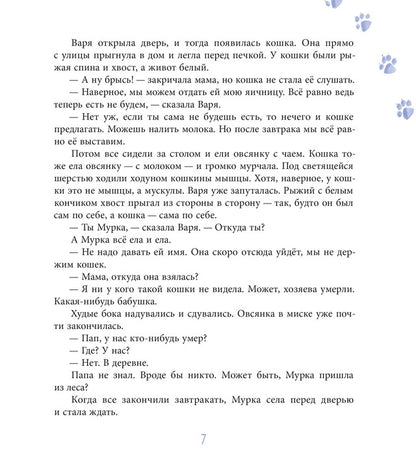 ЛМК Волков. Орион падает на запад