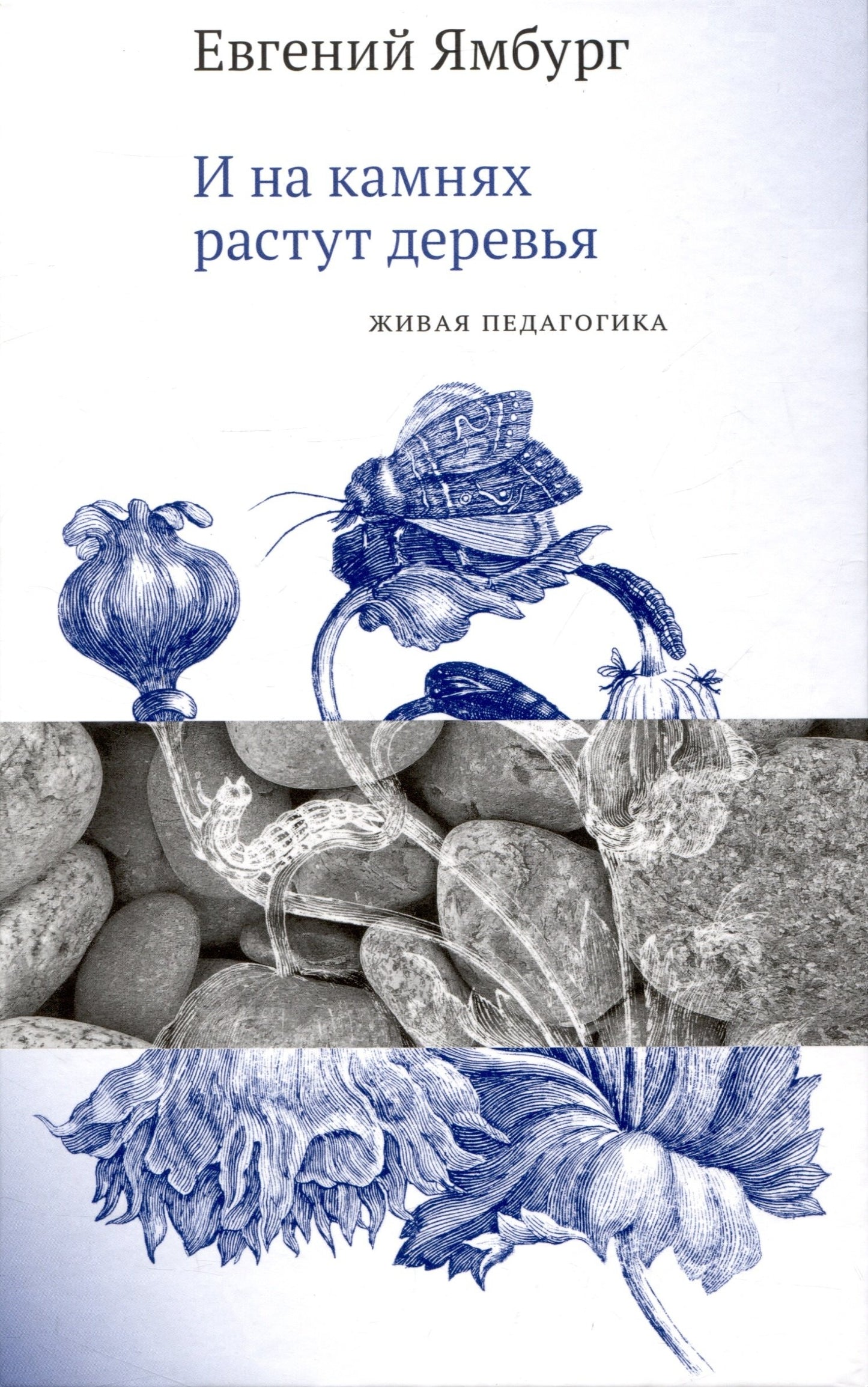 Dans les caméras, il s'en est suivi. Живая педагогика