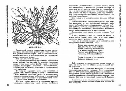 Занимательный русский язык