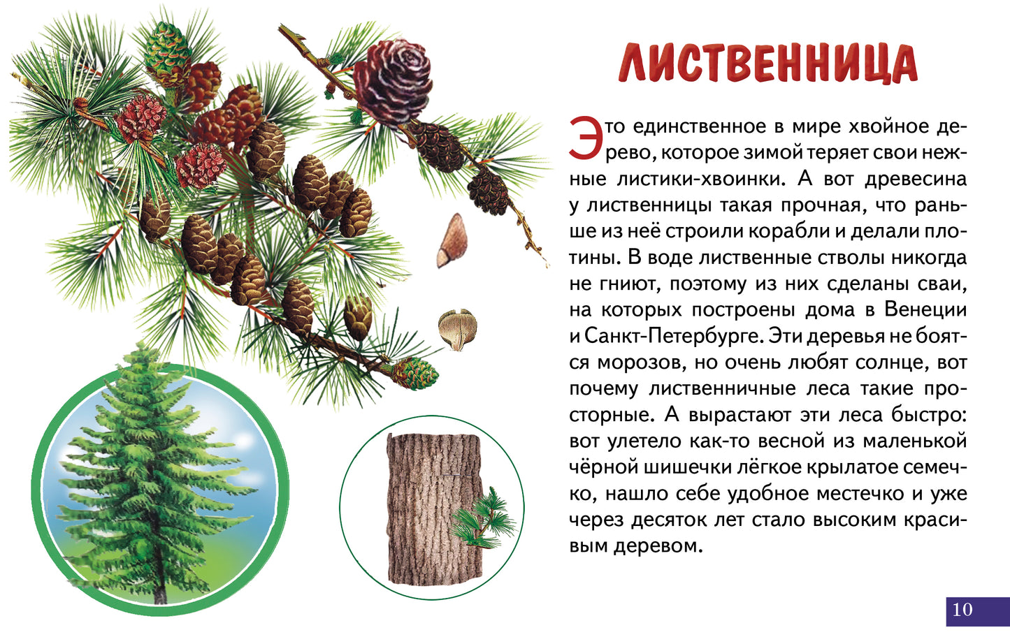 Cartes (европодвес). Деревья; Cartes (европодвес). Деревья