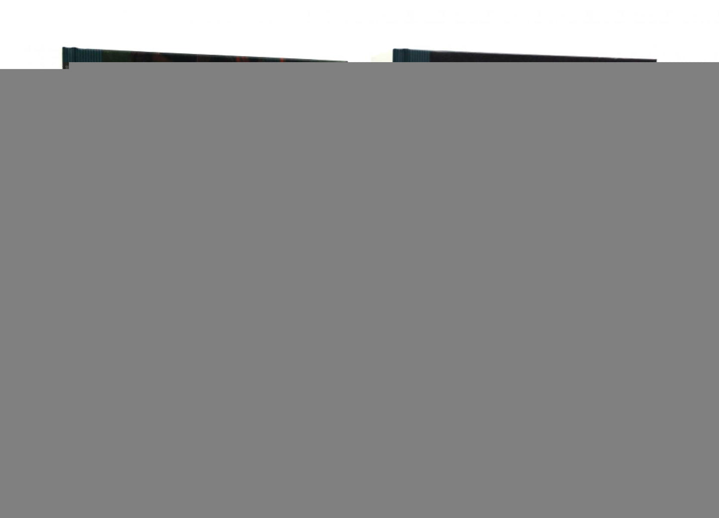 Как читать книги; Педагогическая поэма (комплект из 2-х книг)