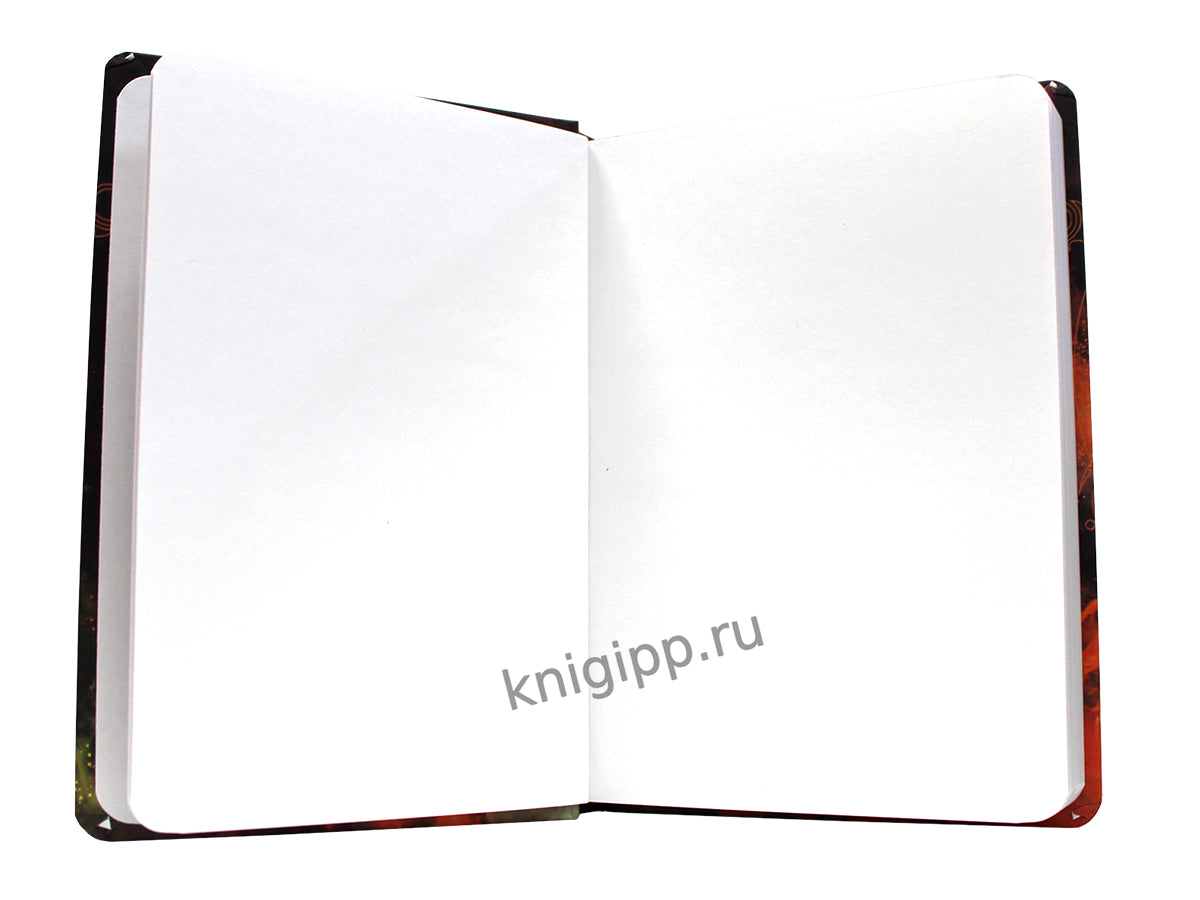 Mon Art. СКЕТЧБУК "ЗНАКИ ЗОДИАКА" ЛЕВ