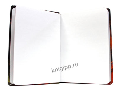 Mon Art. СКЕТЧБУК "ЗНАКИ ЗОДИАКА" ЛЕВ