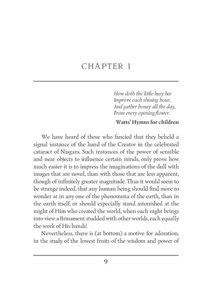 Les ouvertures en chêne ; ou, le chasseur d'abeilles = Прогалины в дубровах, или Охотник за пчелами. Т. 23 : en anglais