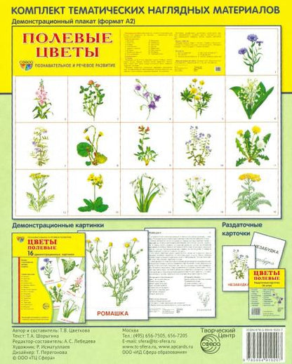 Демонстр. картинки "Цветы полевые" (173х220мм)